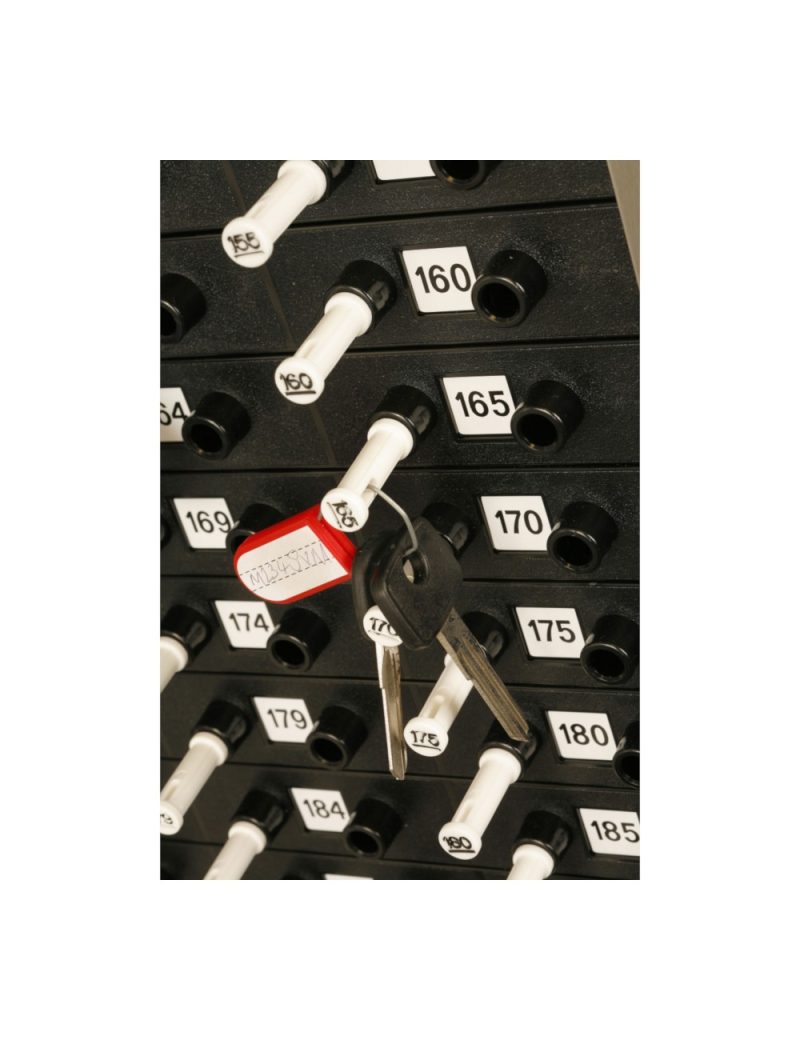 Clé Manager 150 trousseaux